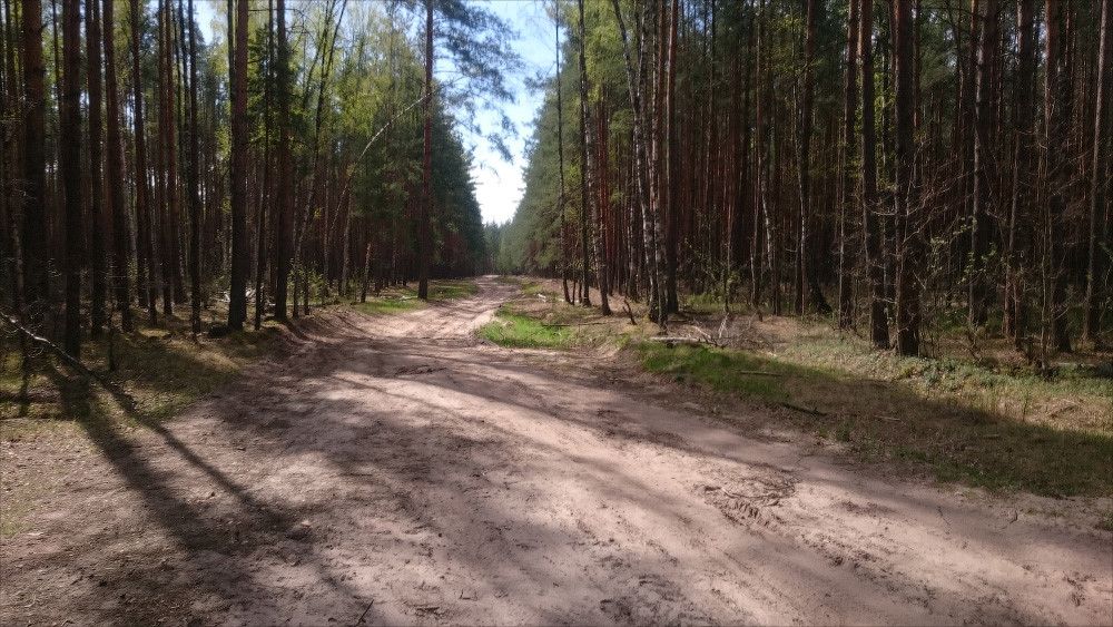 Мещера: радиалка на первомай. Петушки → Сеньга → оз.Круглец → оз.Светец