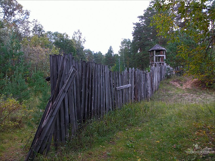 Поход по Мещере: Костерево → Мишеронский