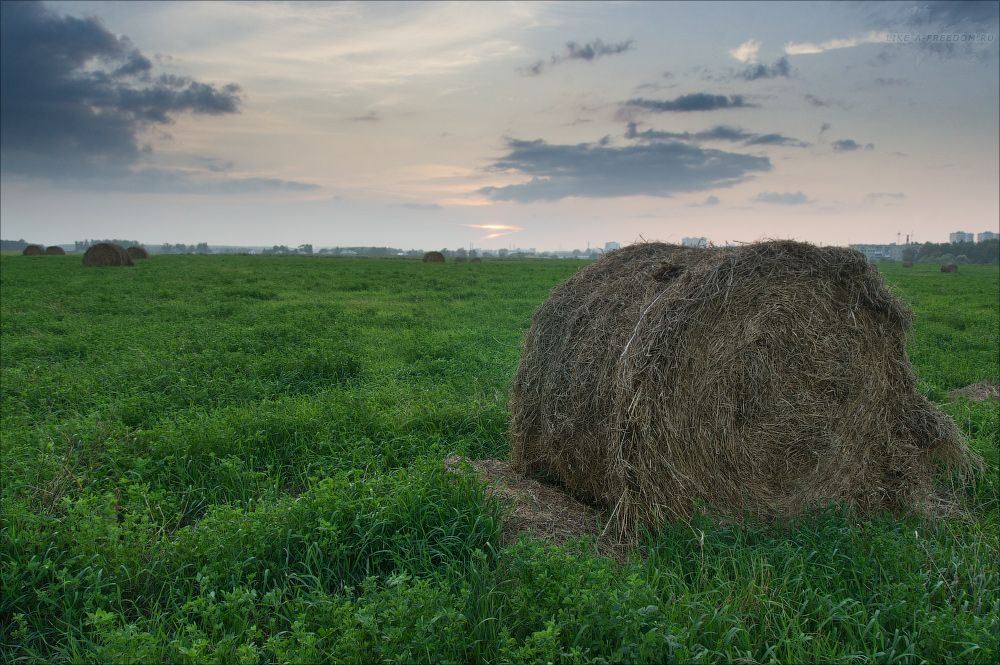 Закат в поле