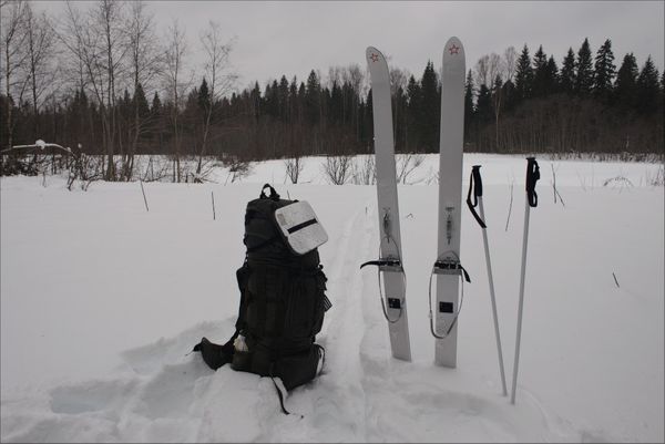 За снегом в архангельскую область! Вандыш → Фоминский, лыжный ПВД.